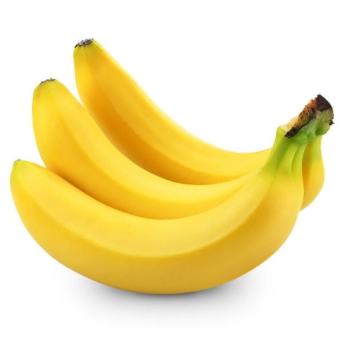 95-202502131020126806639AE46F2D0