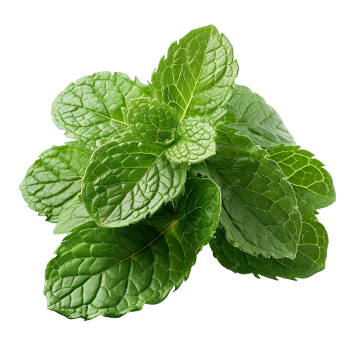 pngtree-mint-leaf-peppermint-green-leaves-png-image_14909750.png