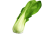 pak-choi.png