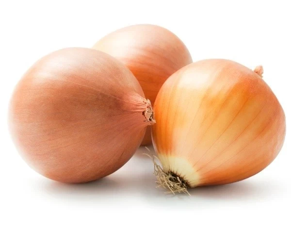 000AU0E692KPSTUR-C322-F4.webp