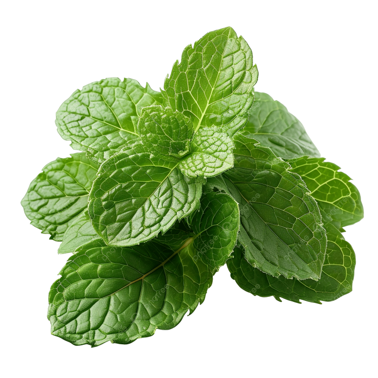 pngtree-mint-leaf-peppermint-green-leaves-png-image_14909750.png